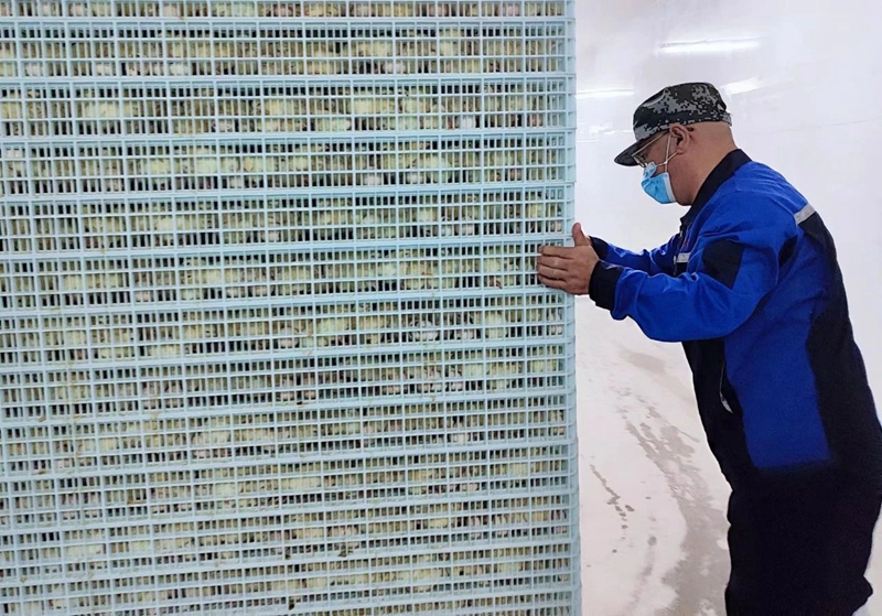 奮輯揚帆 賡續前行-鳴環科技二期孵化項目首批金雛面世